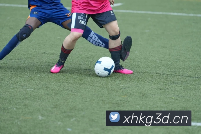 在线体育官网appAPP 体育赛事宣传图